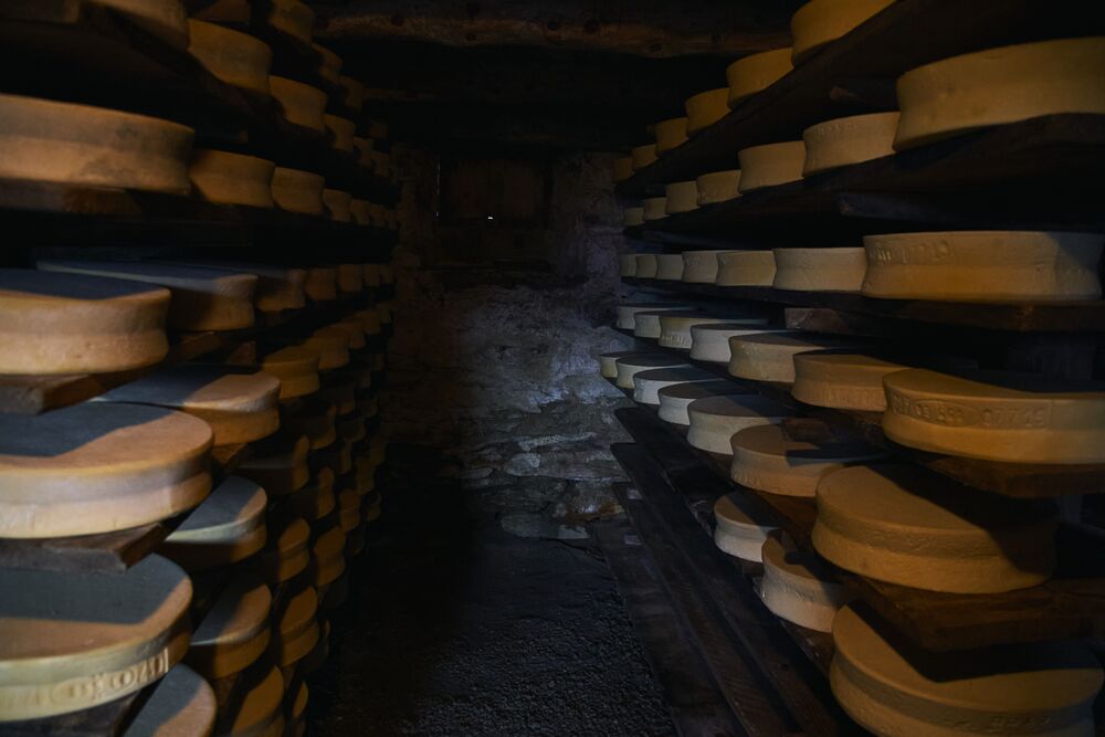 Goat cheese production in the mountains (11)
