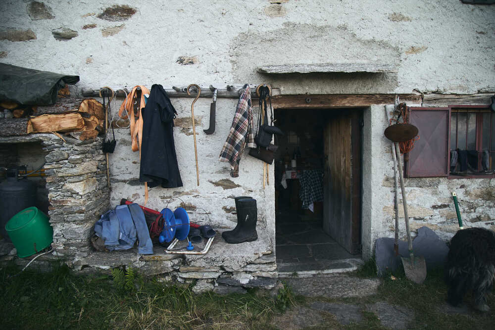 Goat cheese production in the mountains (3)