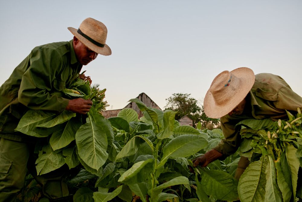 Cuba (3)