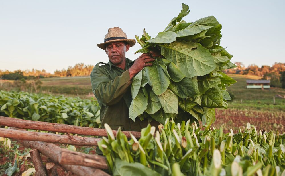 Cuba (4)
