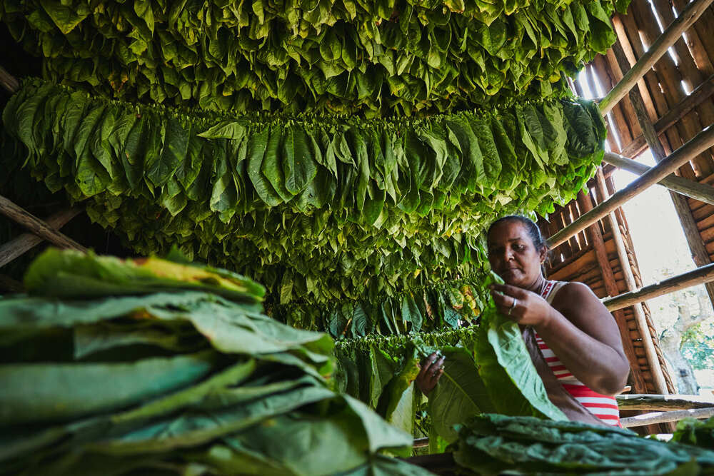 Cuba (7)