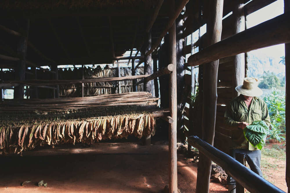 Cuba (8)