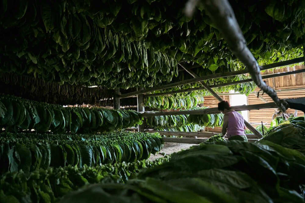 Cuba (6)