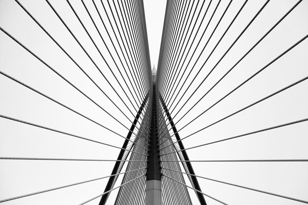 Seri Wawasan Bridge (4)
