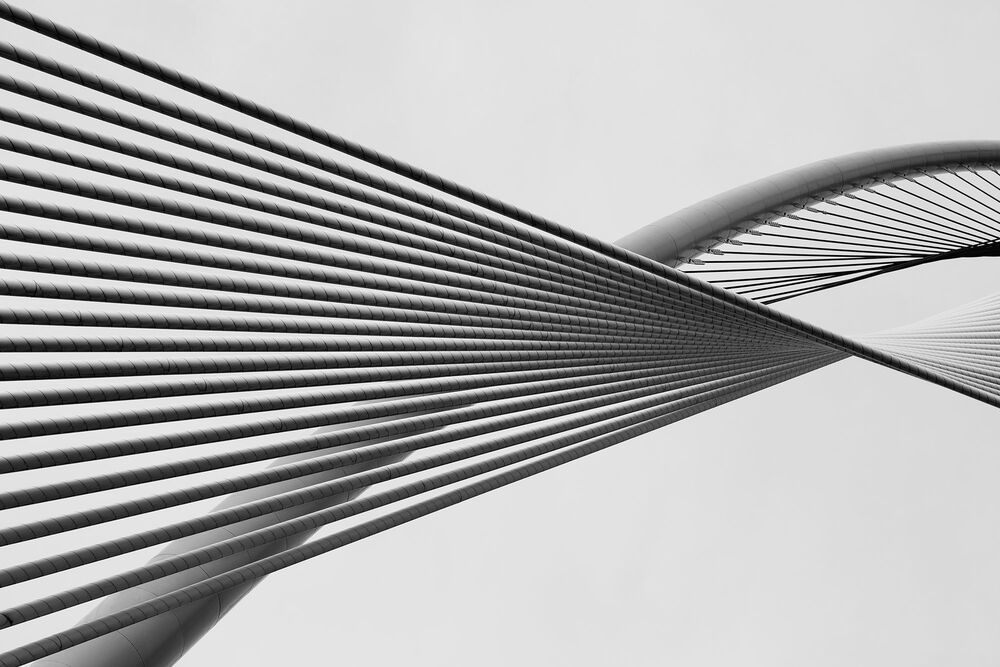 Seri Wawasan Bridge (5)