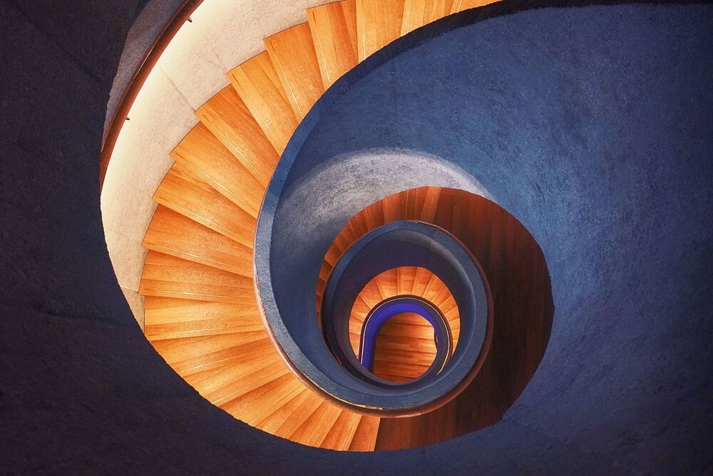 The curves (4)