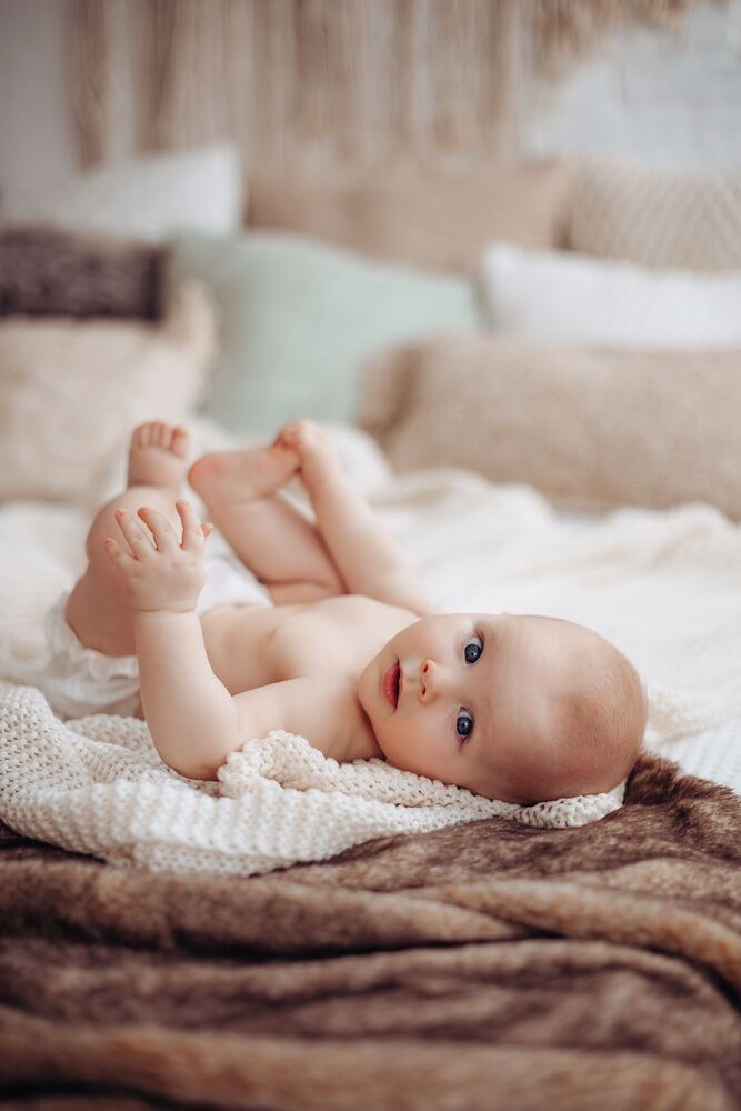 Photo #4372381 (5)