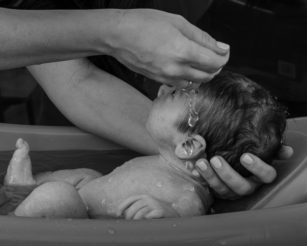 Photo #4380278 (3)