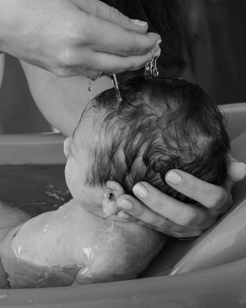Photo #4380278 (5)