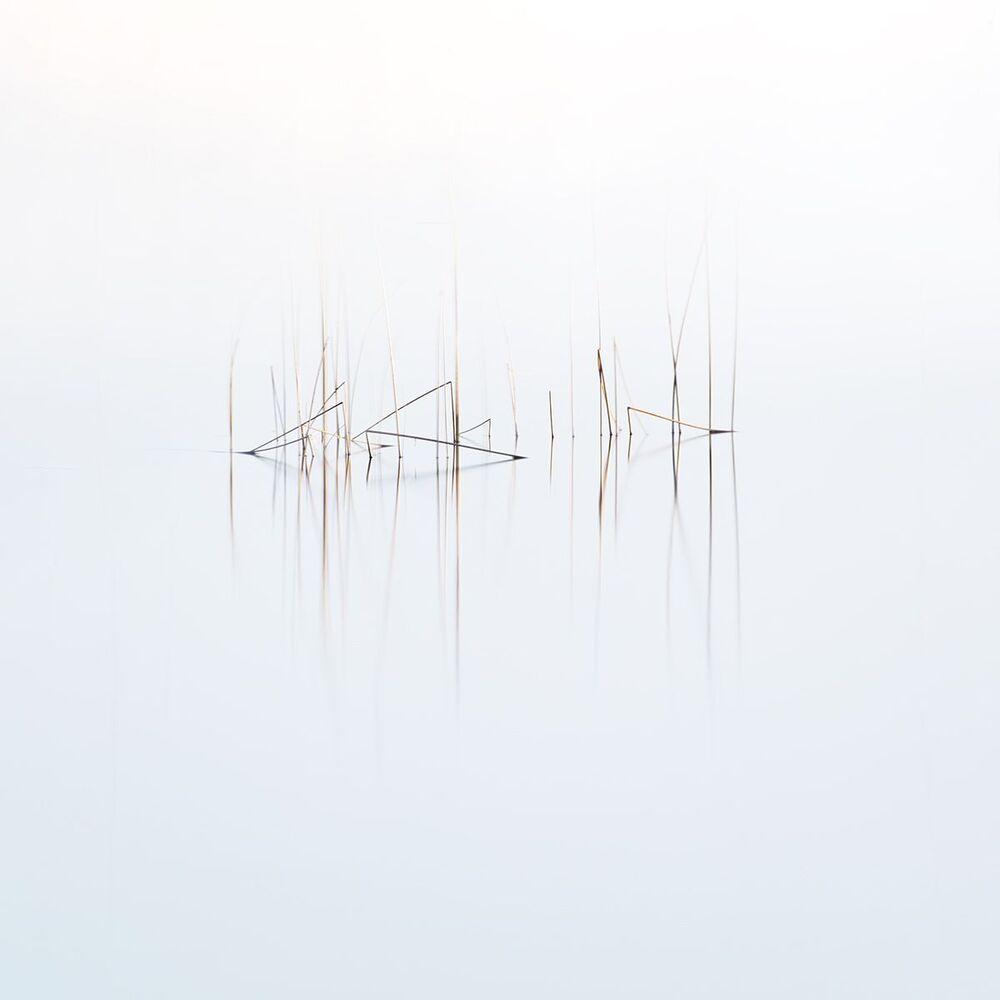 На озере (3)