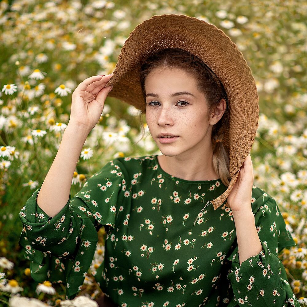 Daisy flowers (2)