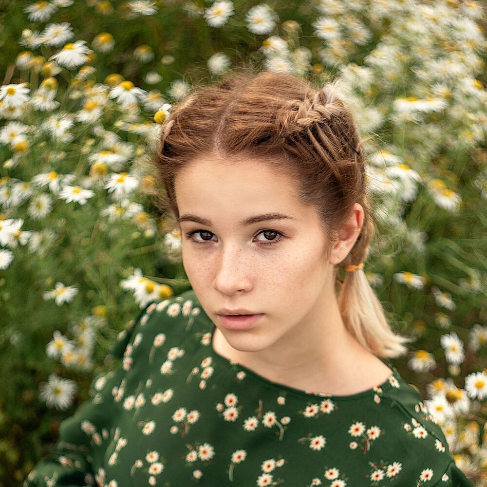 Daisy flowers (4)
