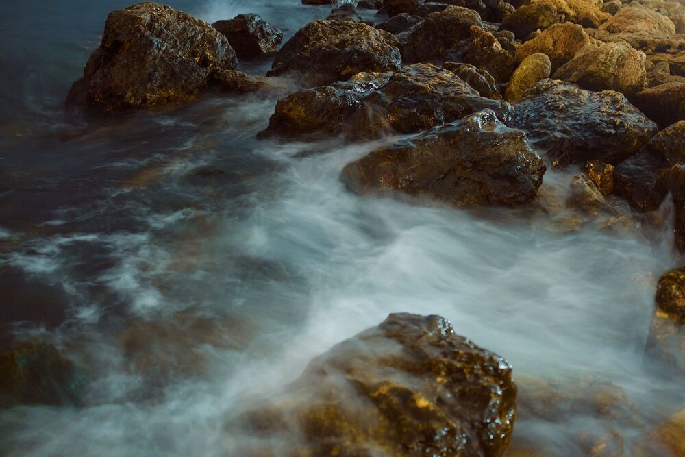 Photo #4415674 (6)