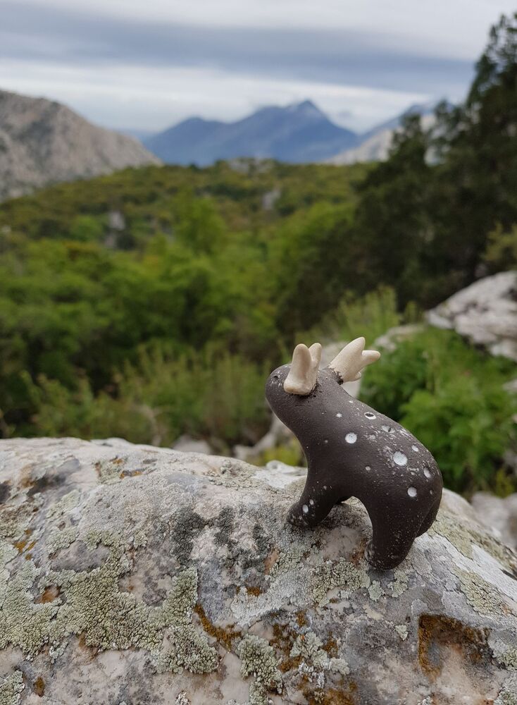 Meeting little friend (6)