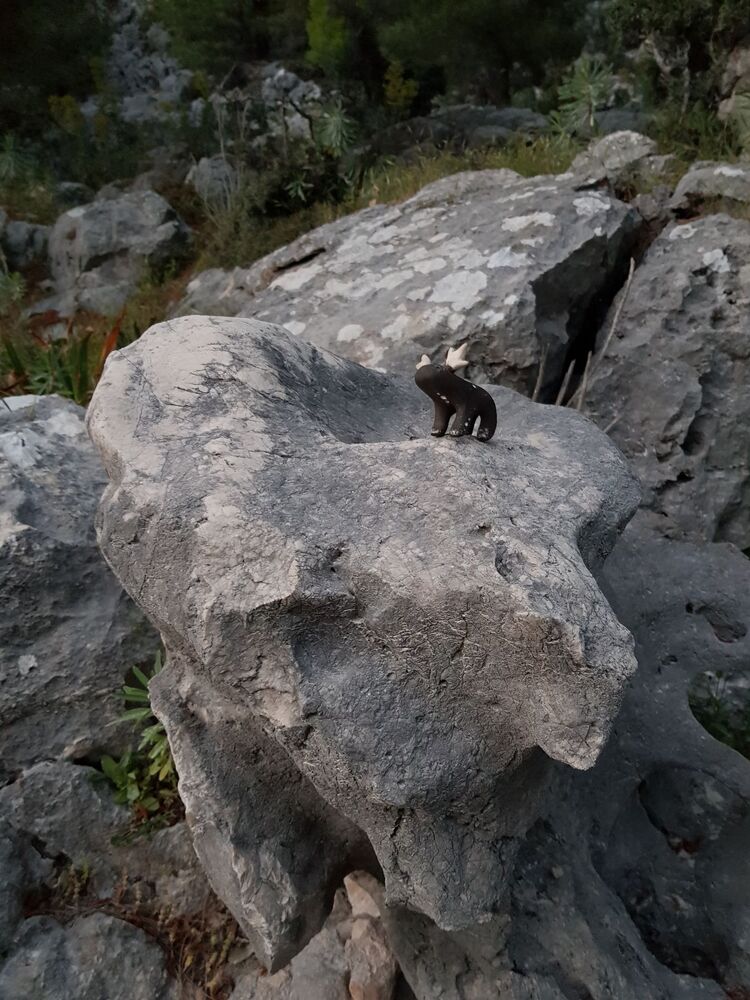 Meeting little friend (2)