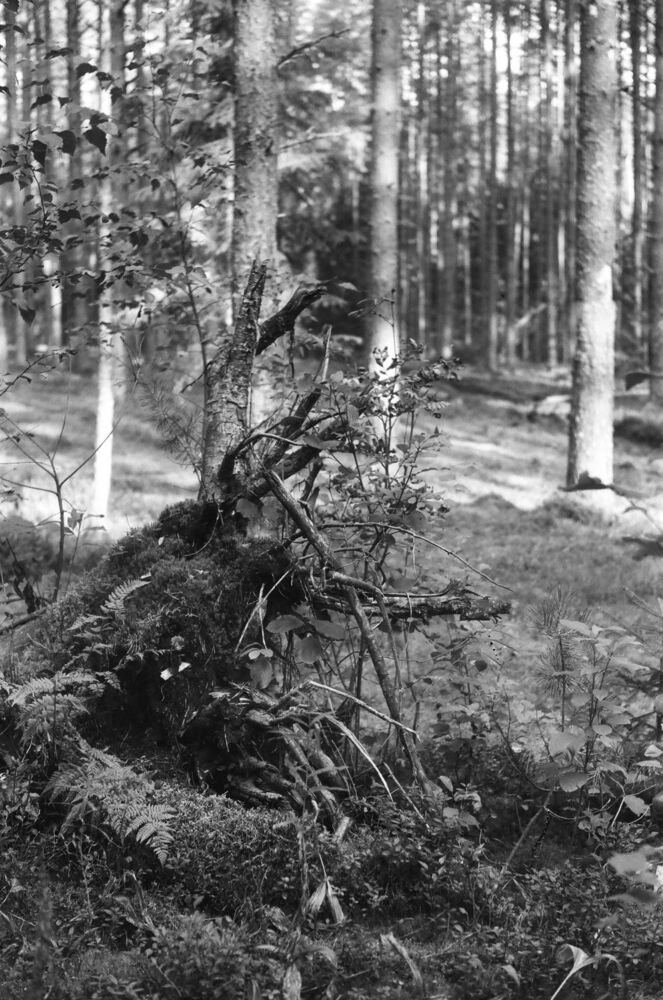 Пленка ч/б. Ретро с советским привкусом) (6)