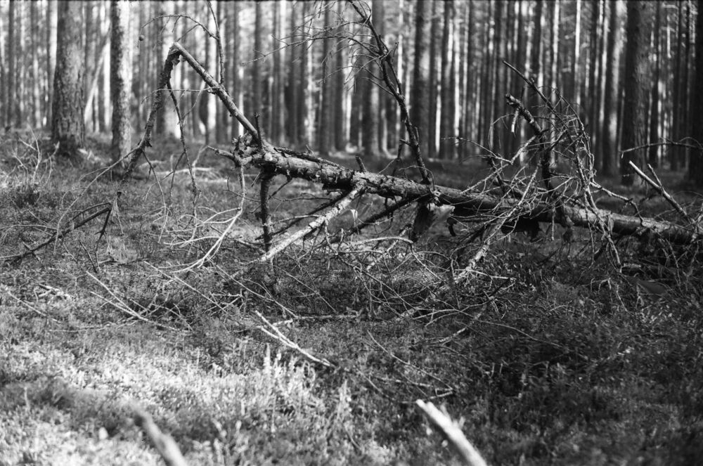 Пленка ч/б. Ретро с советским привкусом) (7)