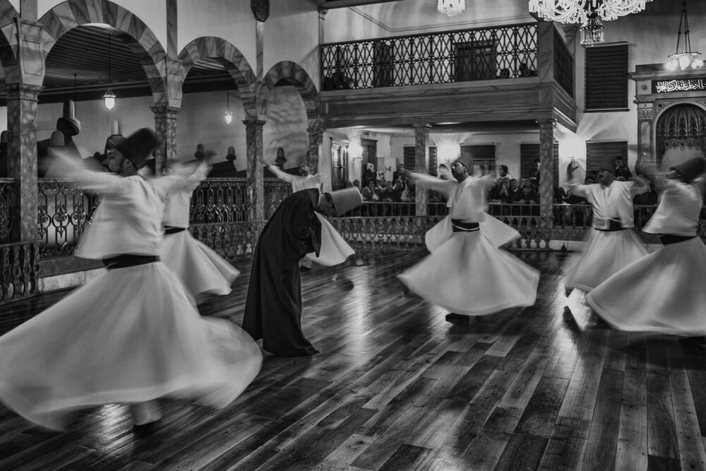 Photo #4425370 (8)