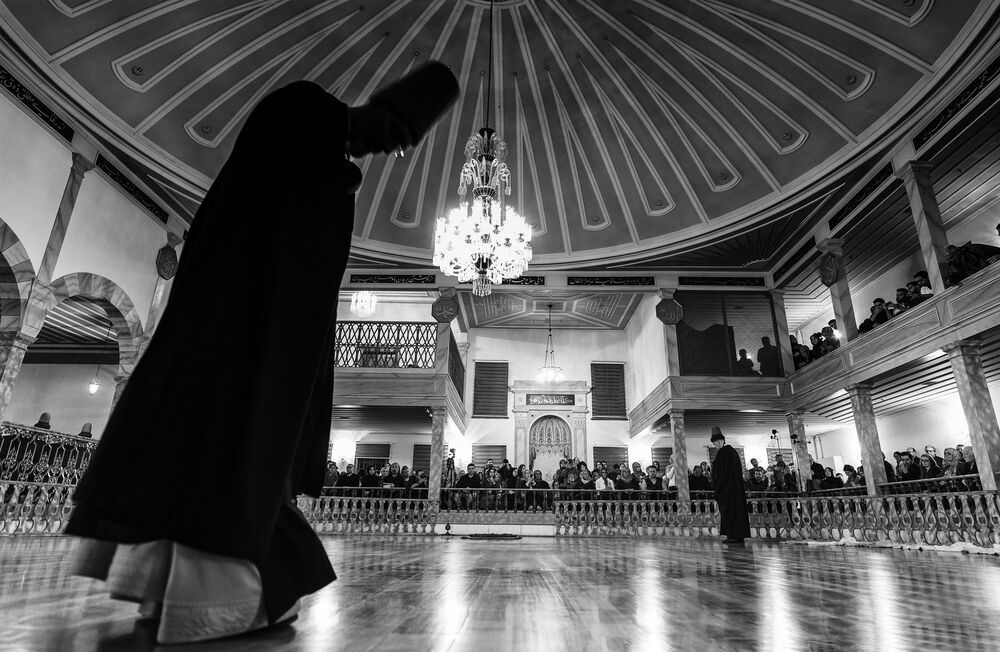 Photo #4425370 (10)