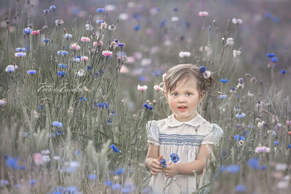 blue flowers (3)