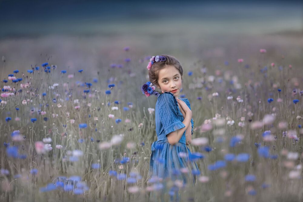 blue flowers (4)