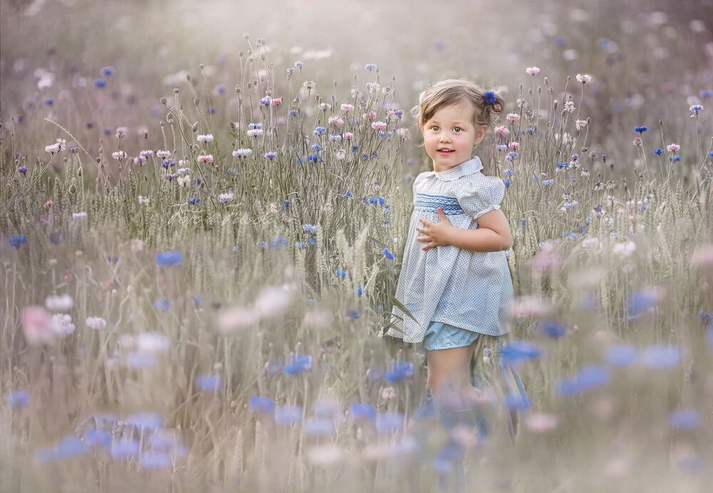 blue flowers (5)