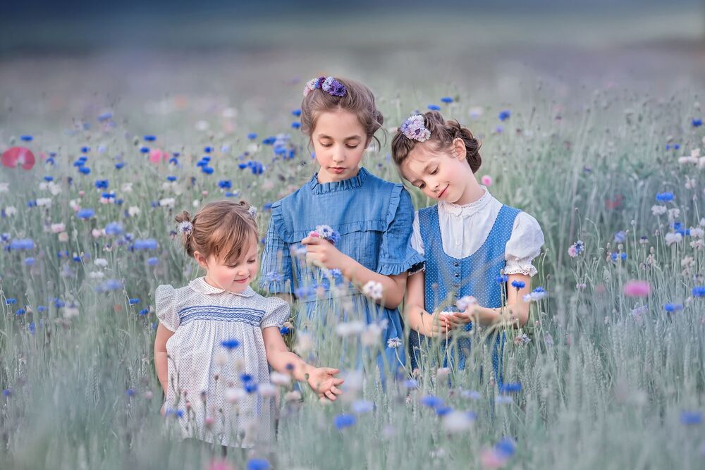 blue flowers (6)