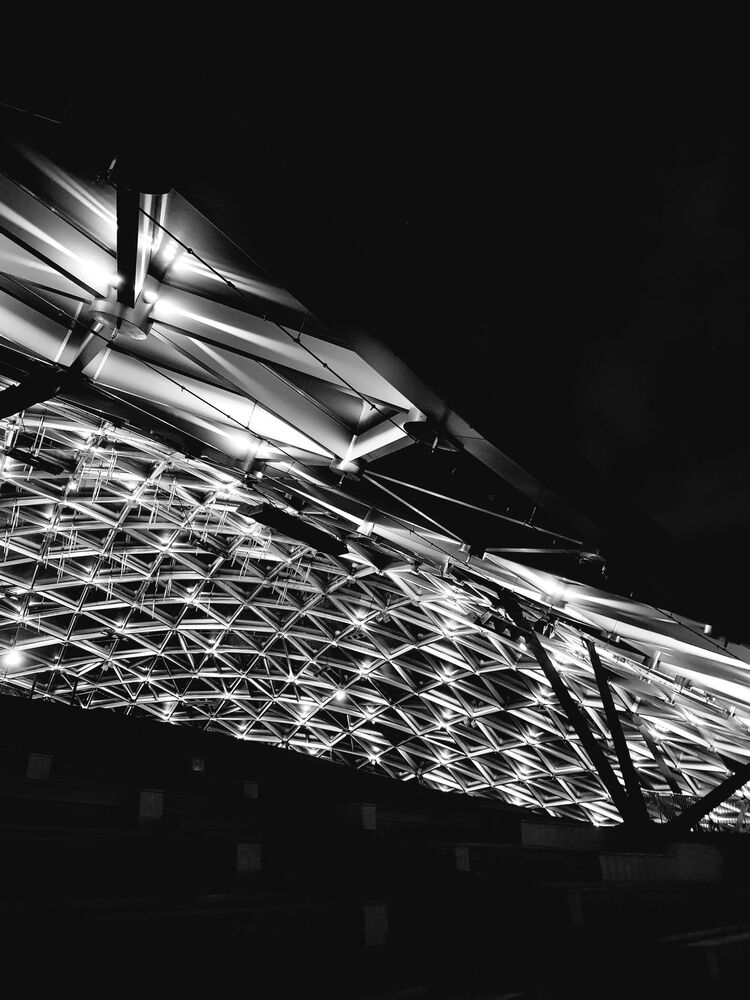 Under the dome (5)