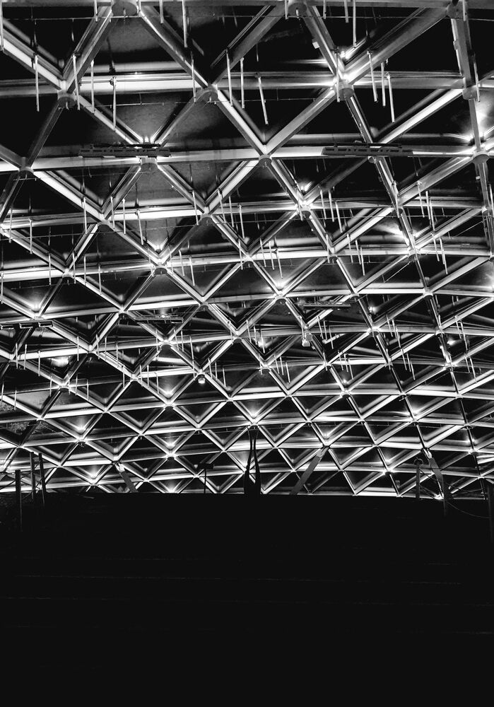 Under the dome (4)