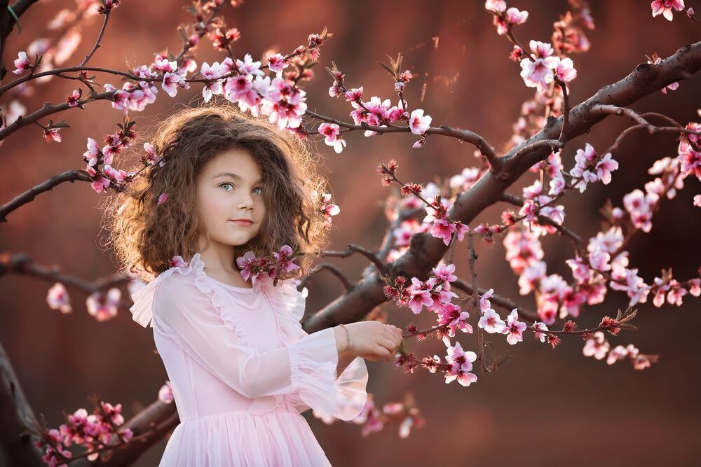 spring in bloom (7)