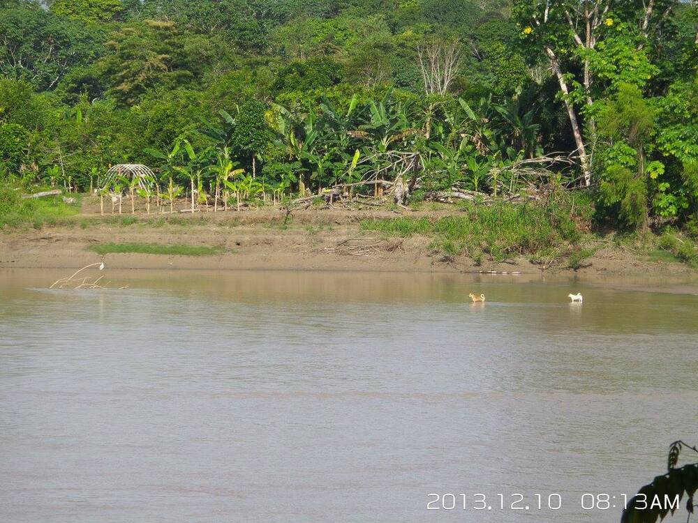 Libertad (2)