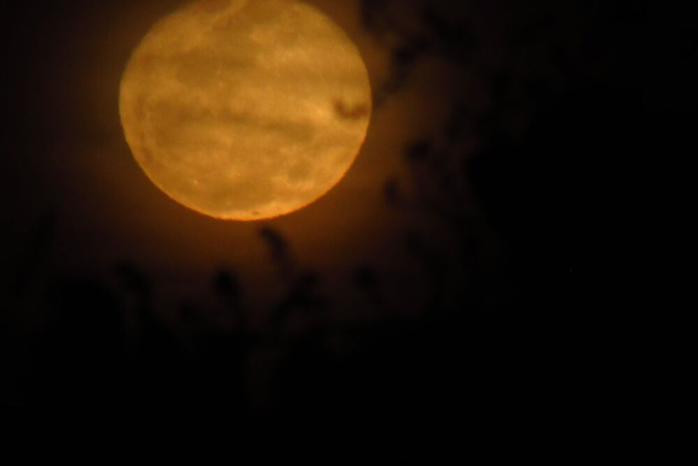 Moon's perspectives (2)