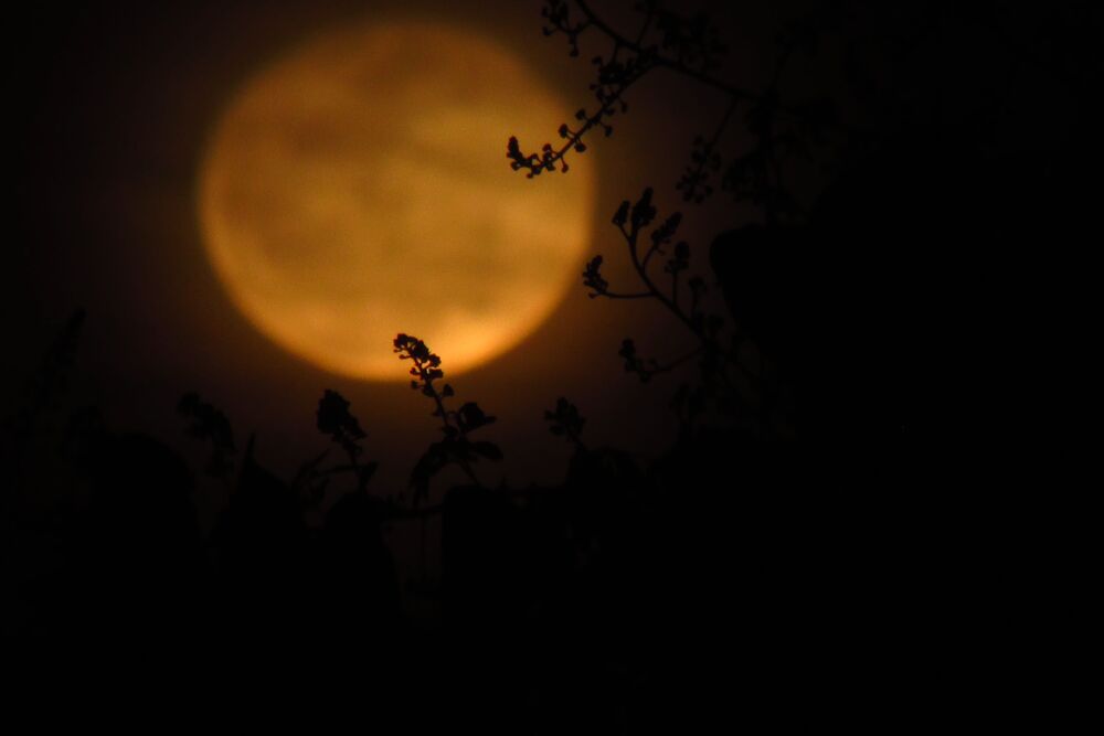 Moon's perspectives (3)