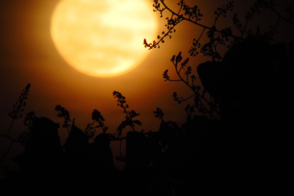 Moon's perspectives (4)