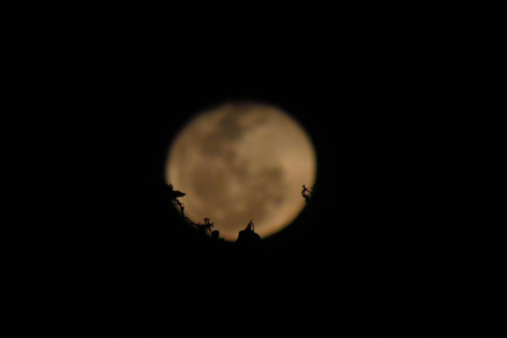 Moon's perspectives (5)