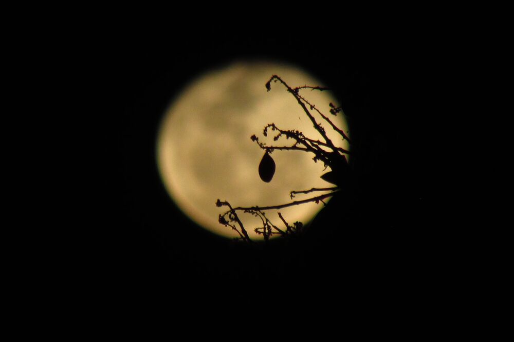 Moon's perspectives (6)