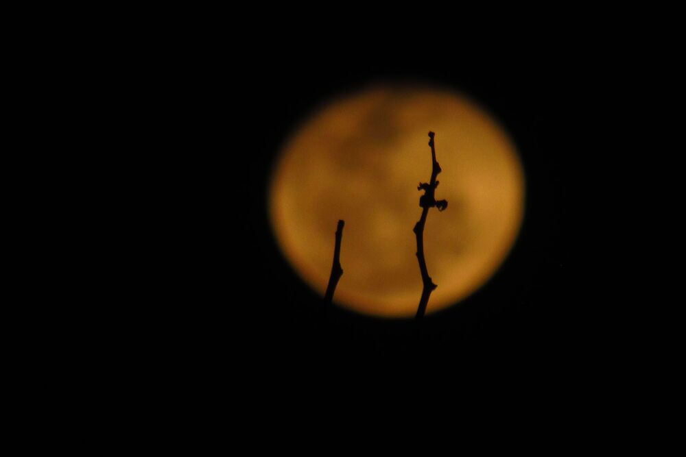 Moon's perspectives (7)