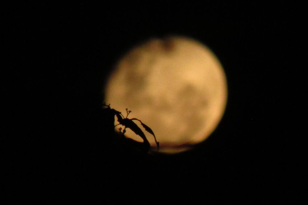 Moon's perspectives (8)