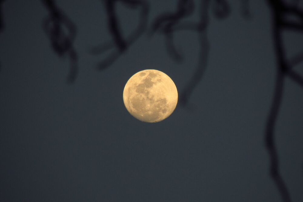 Moon's perspectives (9)