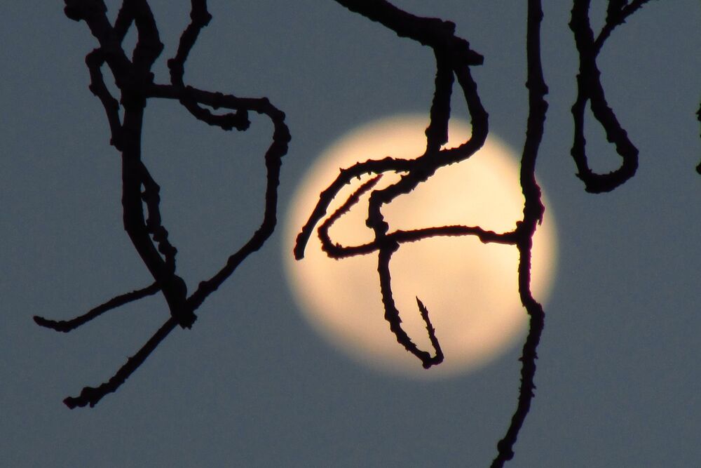 Moon's perspectives (10)