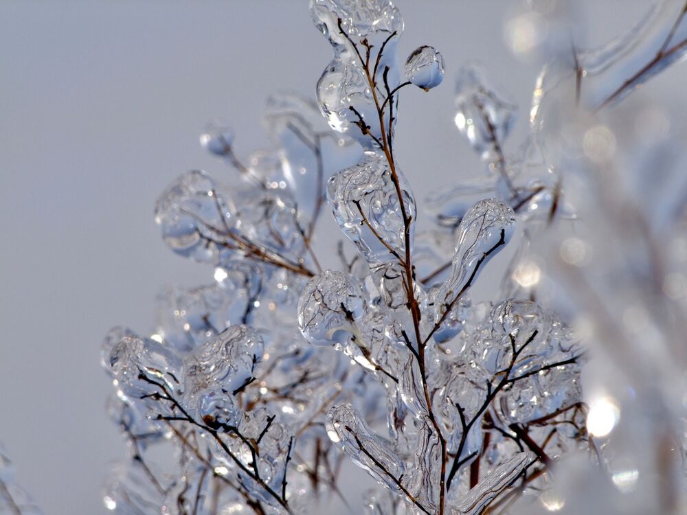 Winter (4)