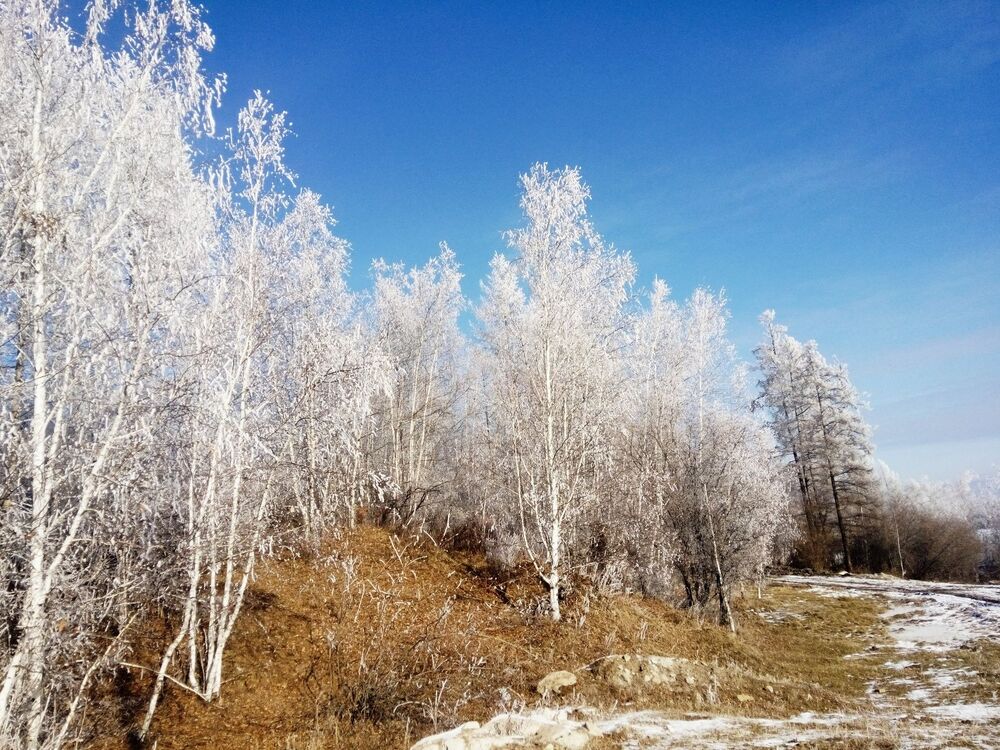 Туман (2)