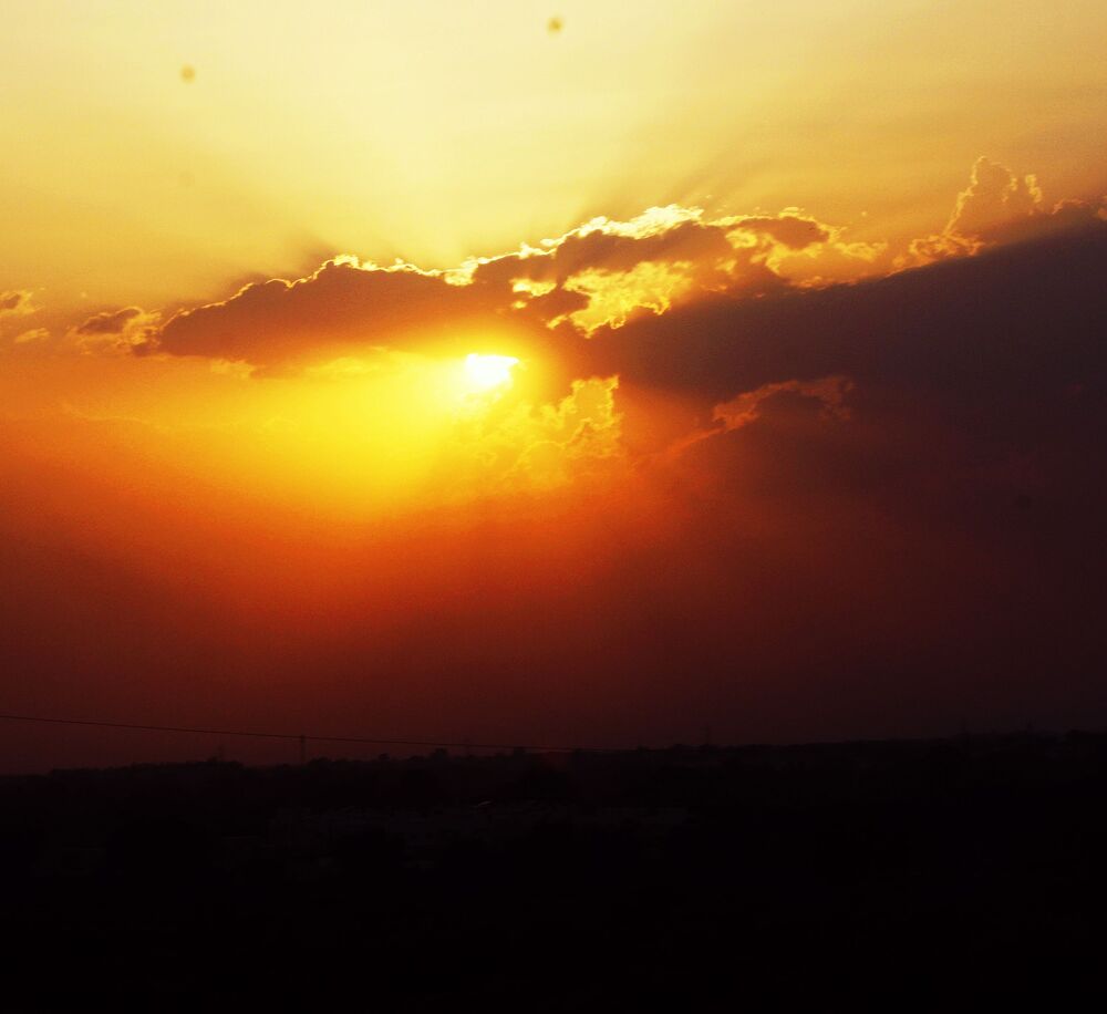 Photo #4790622 (4)