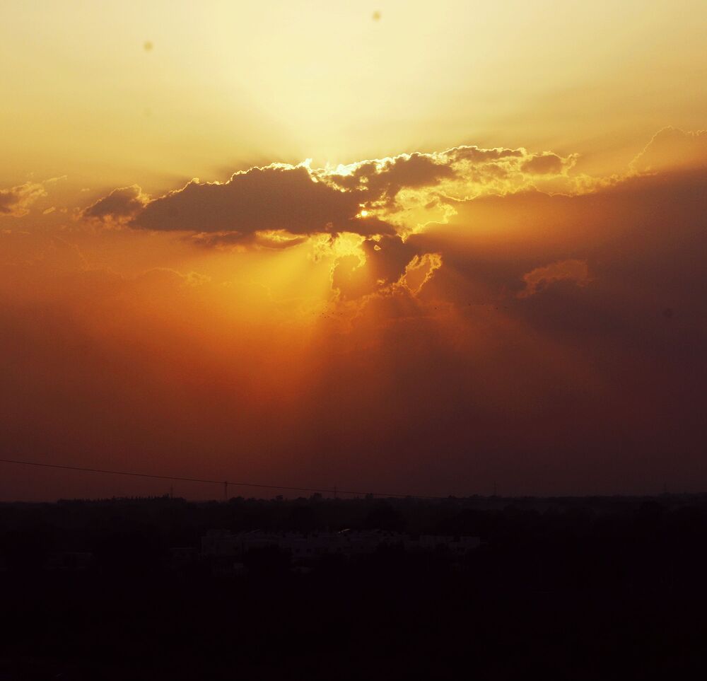 Photo #4790622 (5)