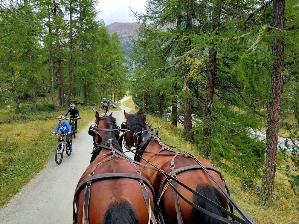 Swiss Photo Project: Peace and Beauty are in the Eyes and Lens of Photographer (3)