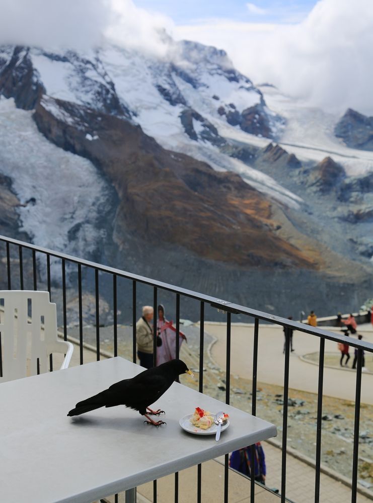 Swiss Photo Project: Peace and Beauty are in the Eyes and Lens of Photographer (7)