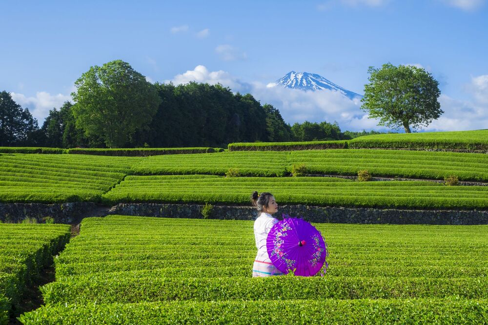 travel (3)