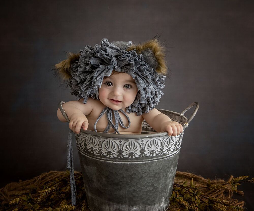 Cute teddy bear (2)