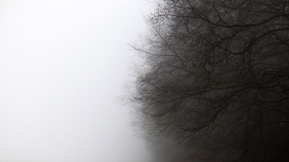Photo #5454641 (2)