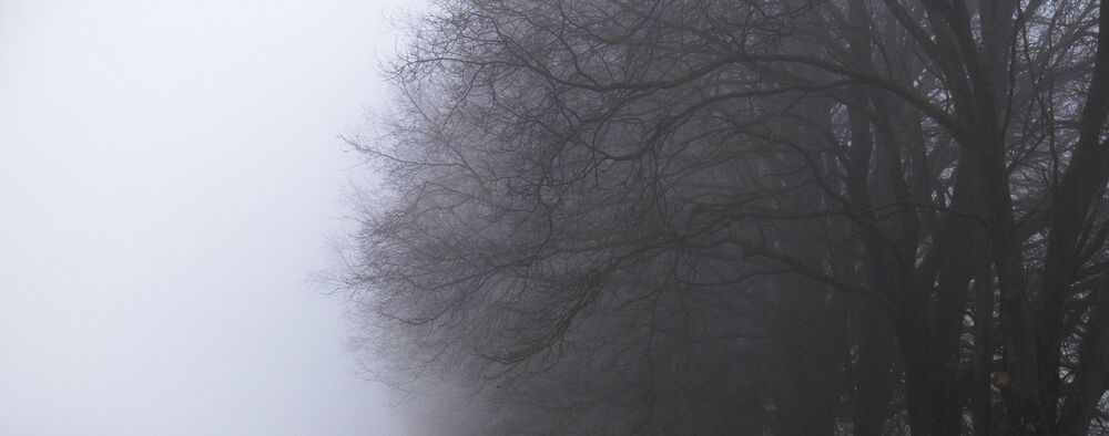 Photo #5454641 (4)